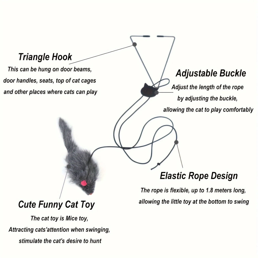 Door frame hanging cat toy.