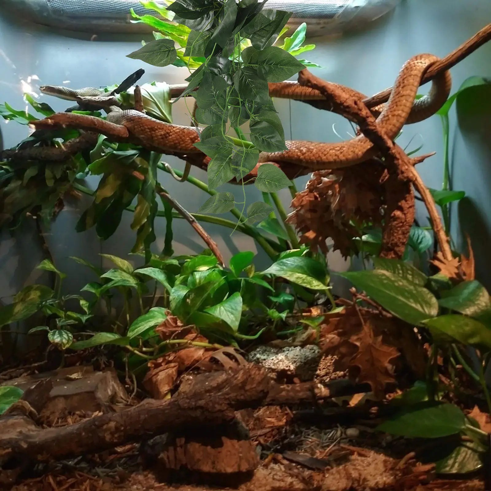 Reptile imitation plant.