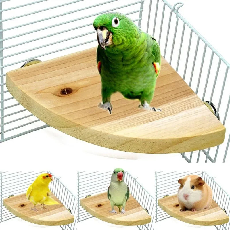 Bird Wood Perch