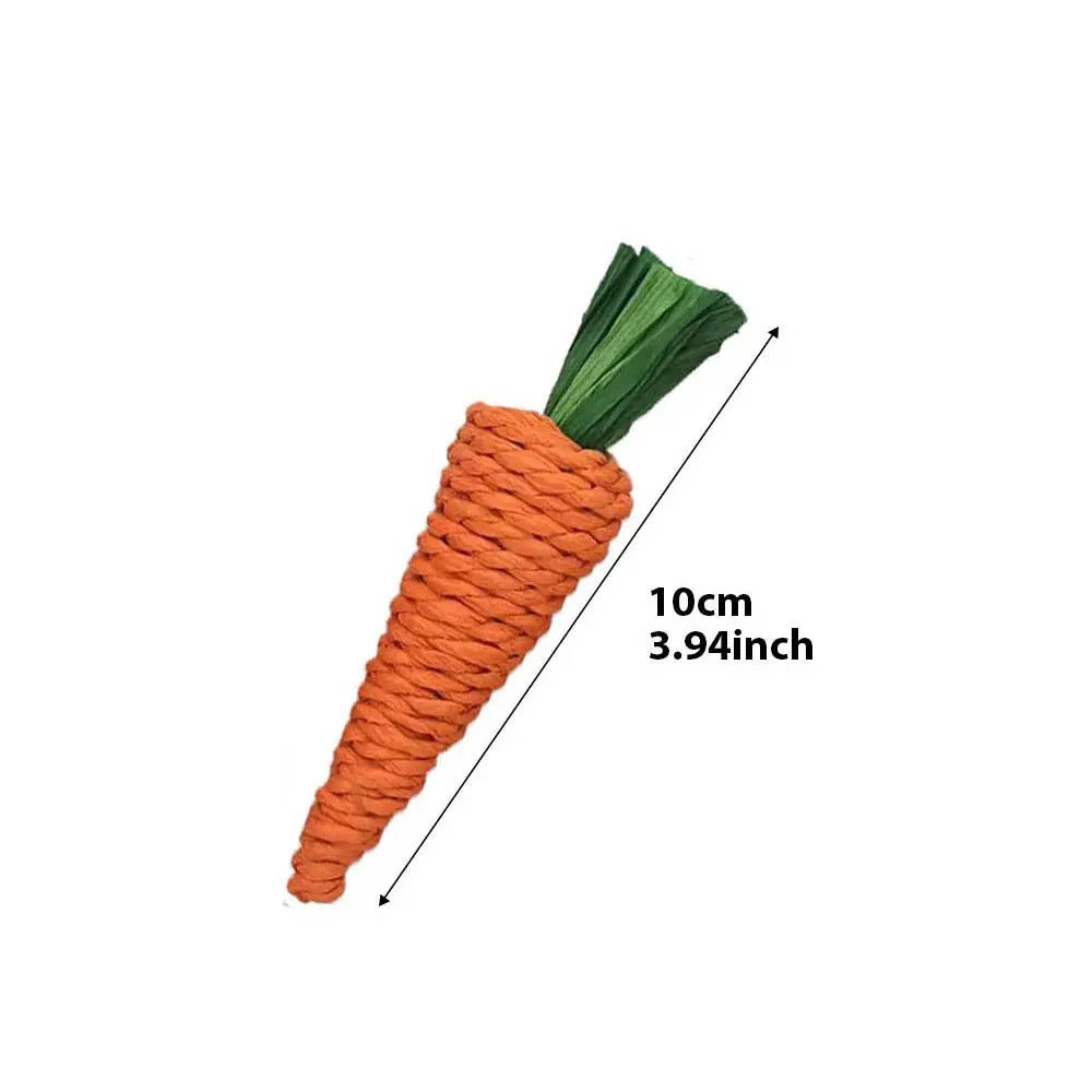 Small pet chewing blocks.