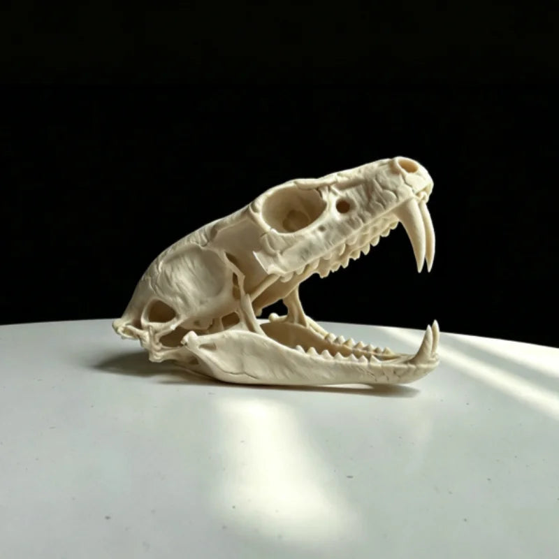 Reptile Vivarium ornament snake skull.