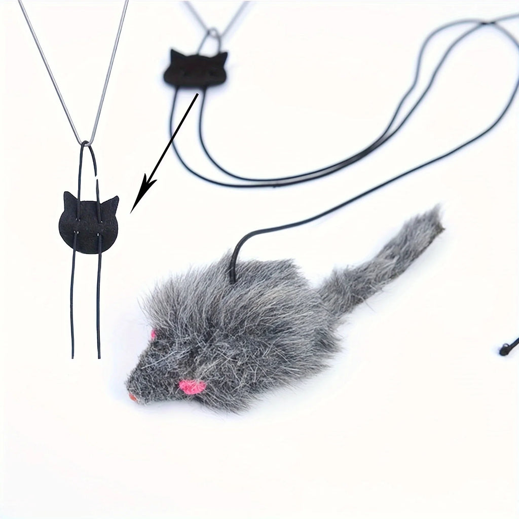 Door frame hanging cat toy.