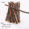 Chew Stick Apple Tree Branch Hamster for small pets.