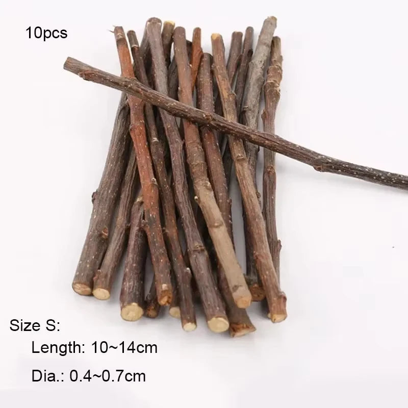 Chew Stick Apple Tree Branch Hamster for small pets.