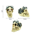 Reptile skull hide