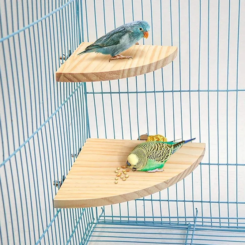 Bird Wood Perch