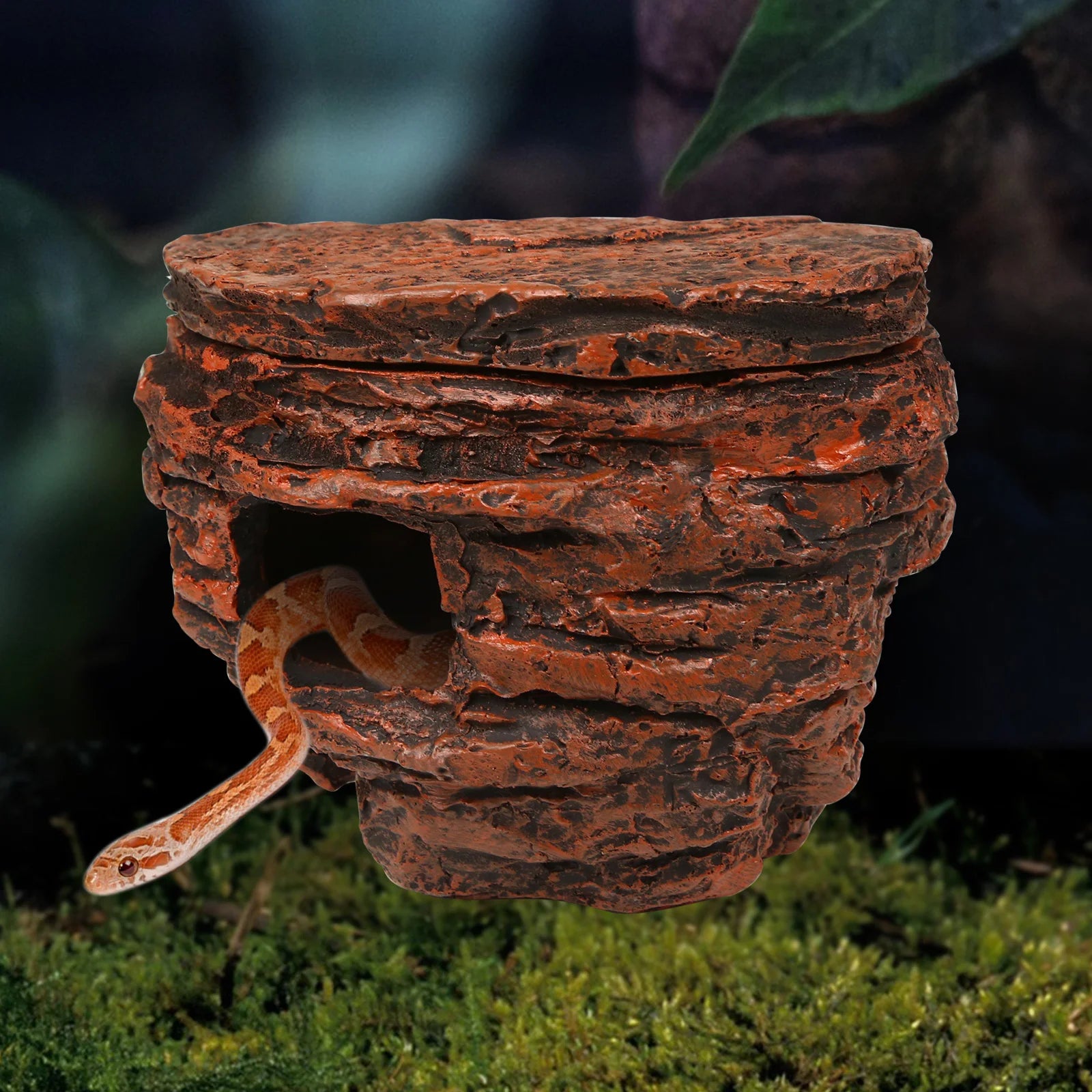 Reptile Rock Cave Hideout