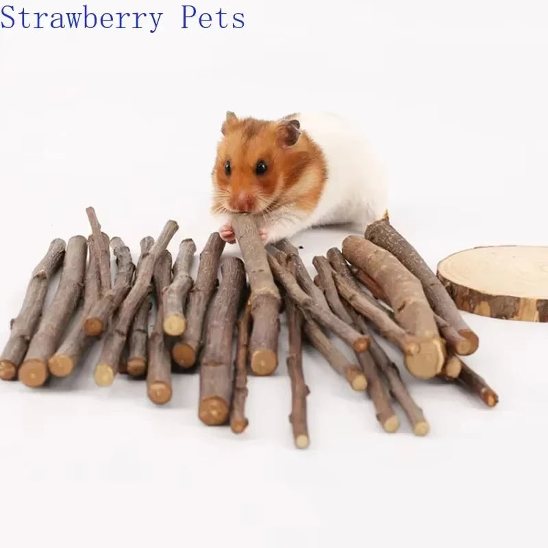 Chew Stick Apple Tree Branch Hamster for small pets.