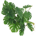 Reptile imitation plants for vivarium.