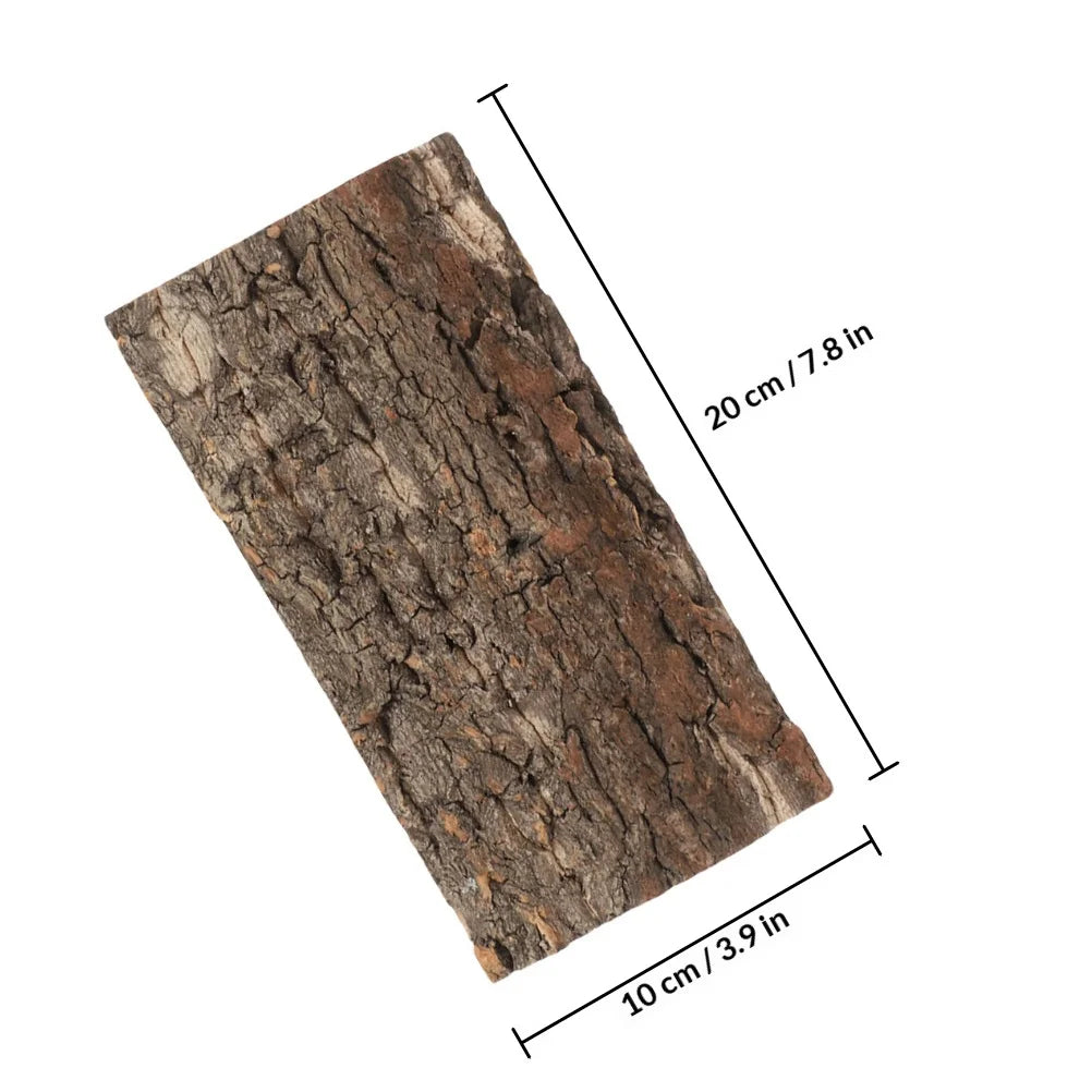 2Pcs Terrarium Cork Bark Decor for reptiles.