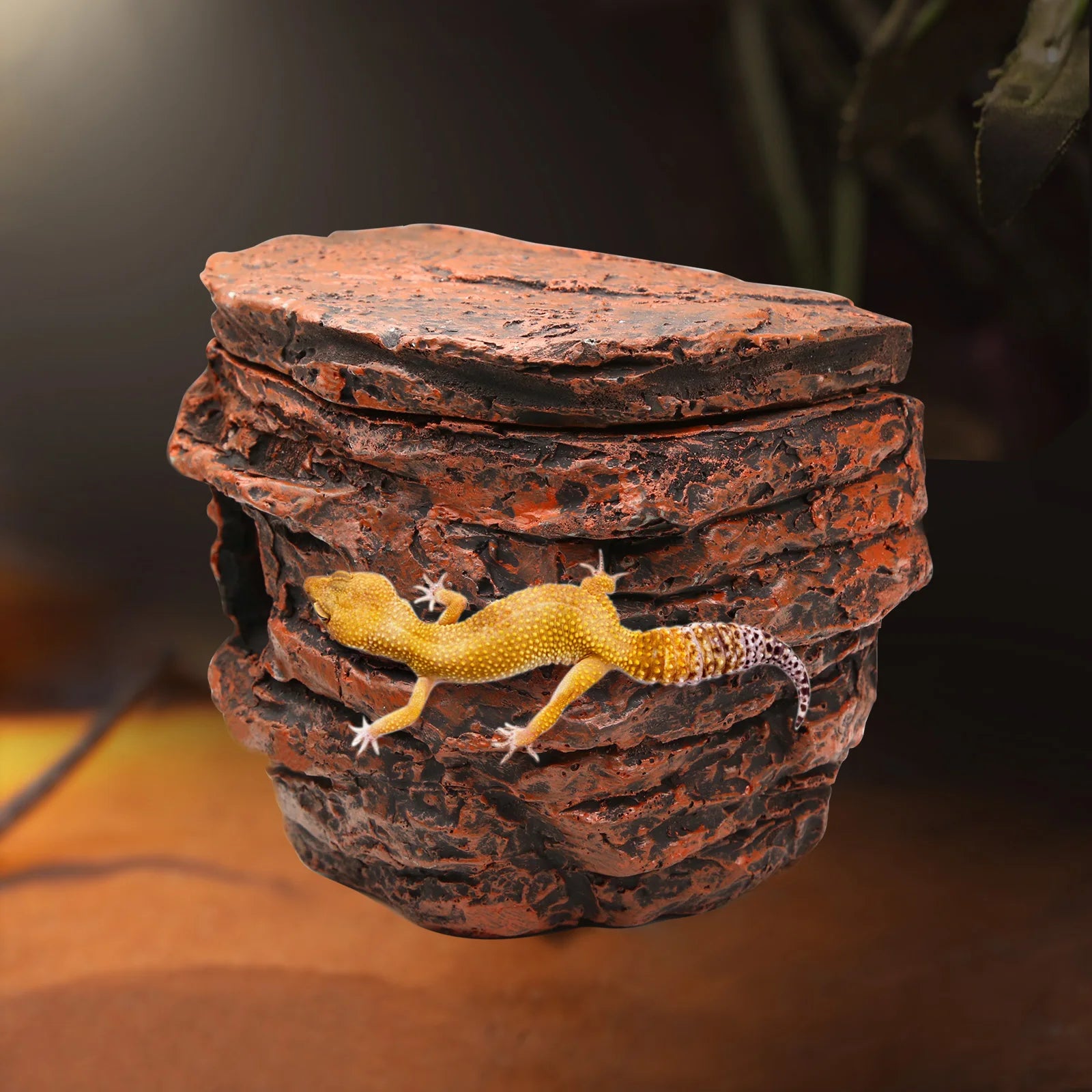 Reptile Rock Cave Hideout