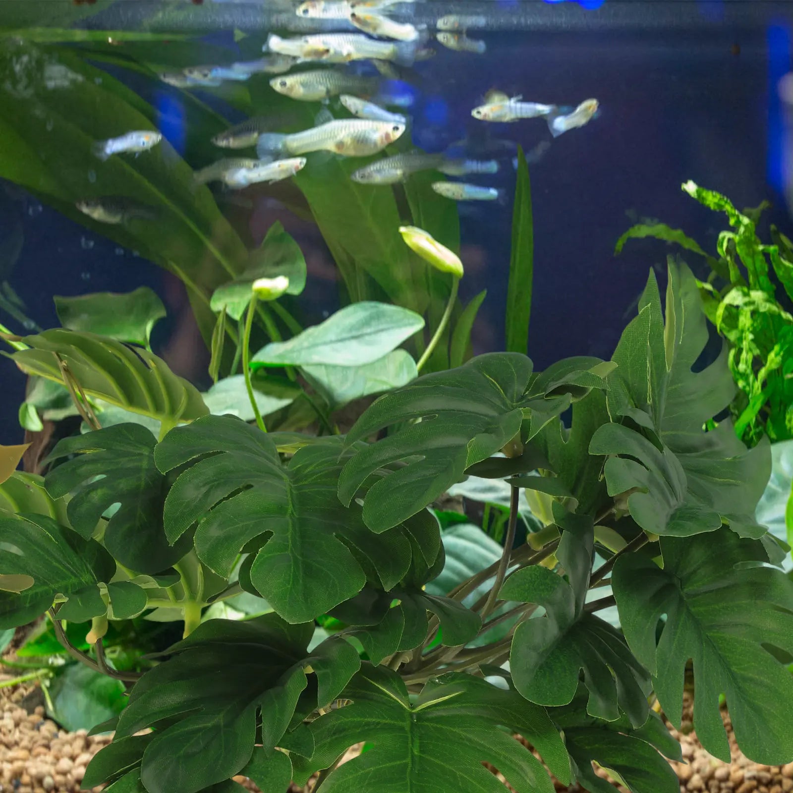 Reptile imitation plants for vivarium.