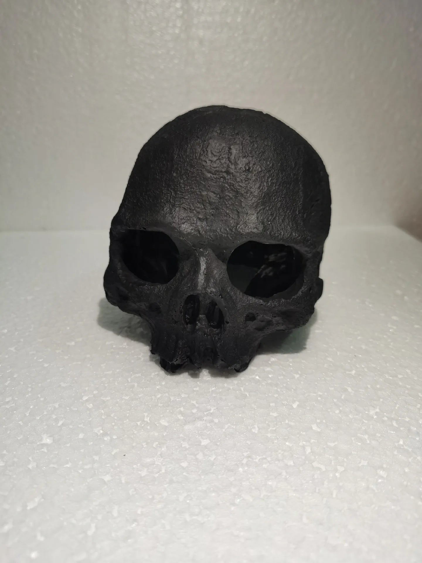 Reptile skull hide