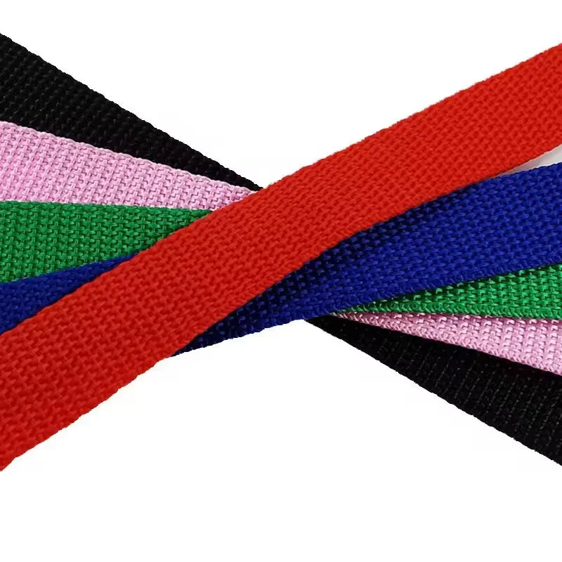 Nylon Extra Long dog Lead