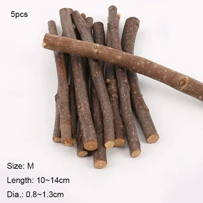 Chew Stick Apple Tree Branch Hamster for small pets.