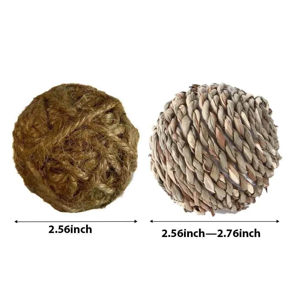 Small pet chewing blocks.
