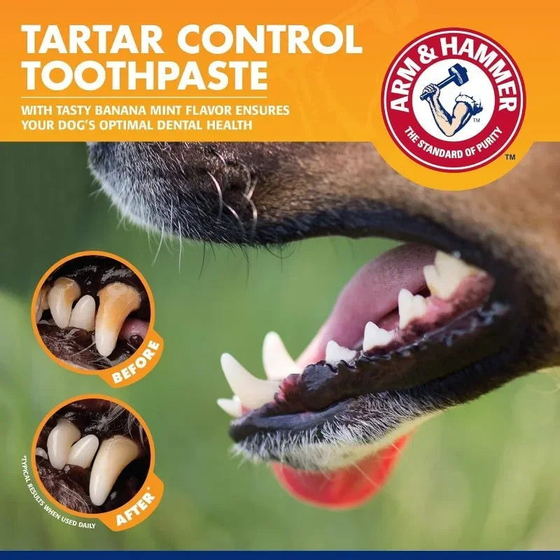 Pet Oral Hygiene Gum and Teeth Care