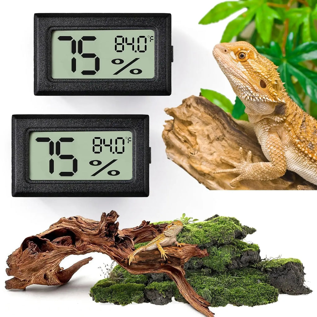 Digital vivarium thermometer.