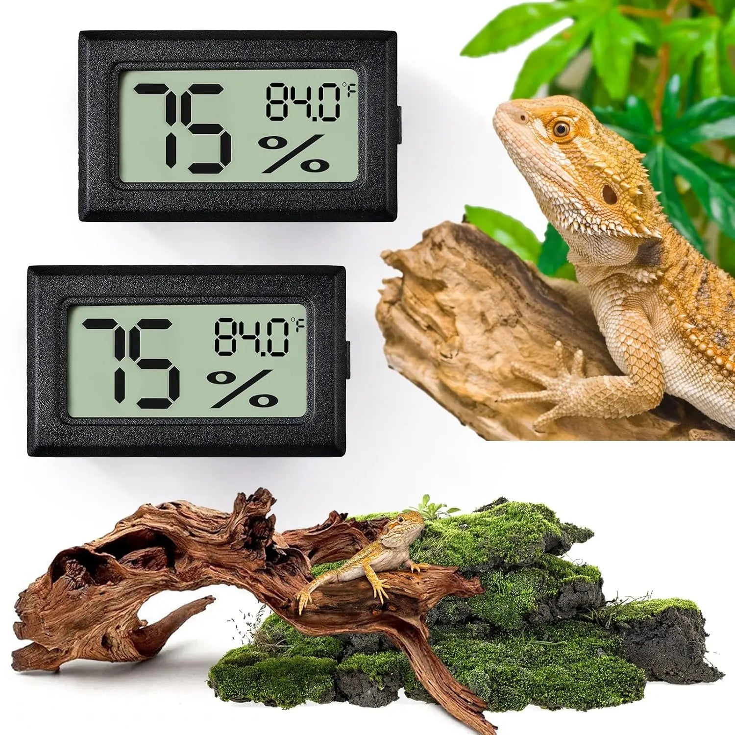 Digital vivarium thermometer.