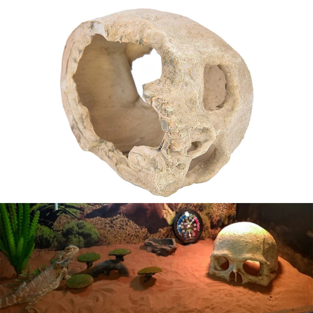 Reptile skull hide