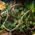 1M Artificial Reptile Vines.