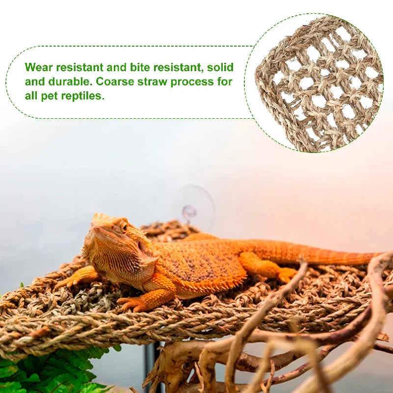 Reptile Hammock Terrarium Decoration
