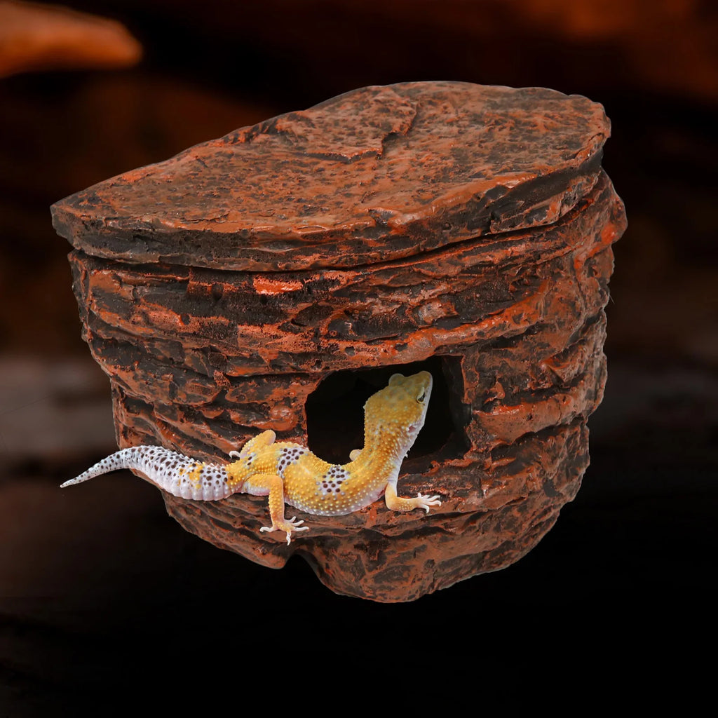 Reptile Rock Cave Hideout