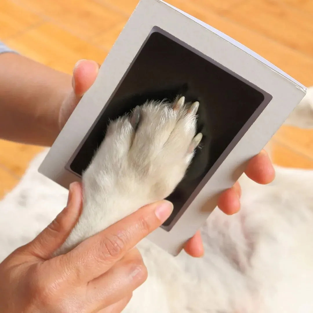 Pet paw/nose ink transfer.