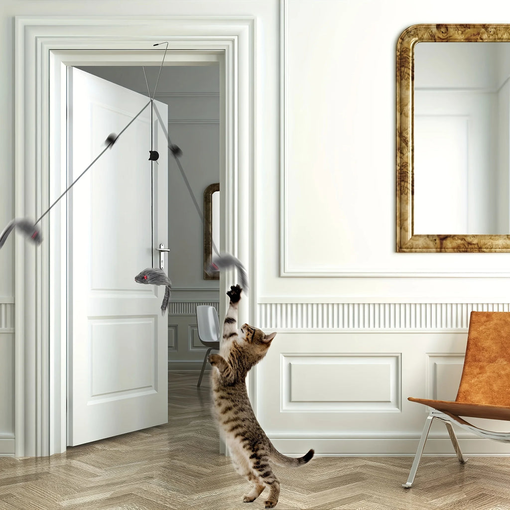 Door frame hanging cat toy.