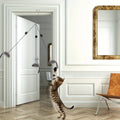 Door frame hanging cat toy.
