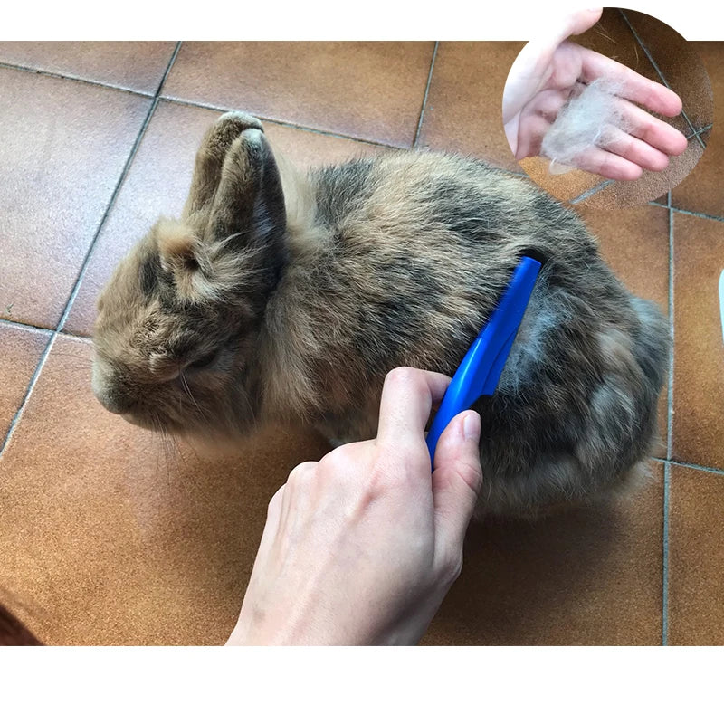 Brush for furry pets to remove excess hair.