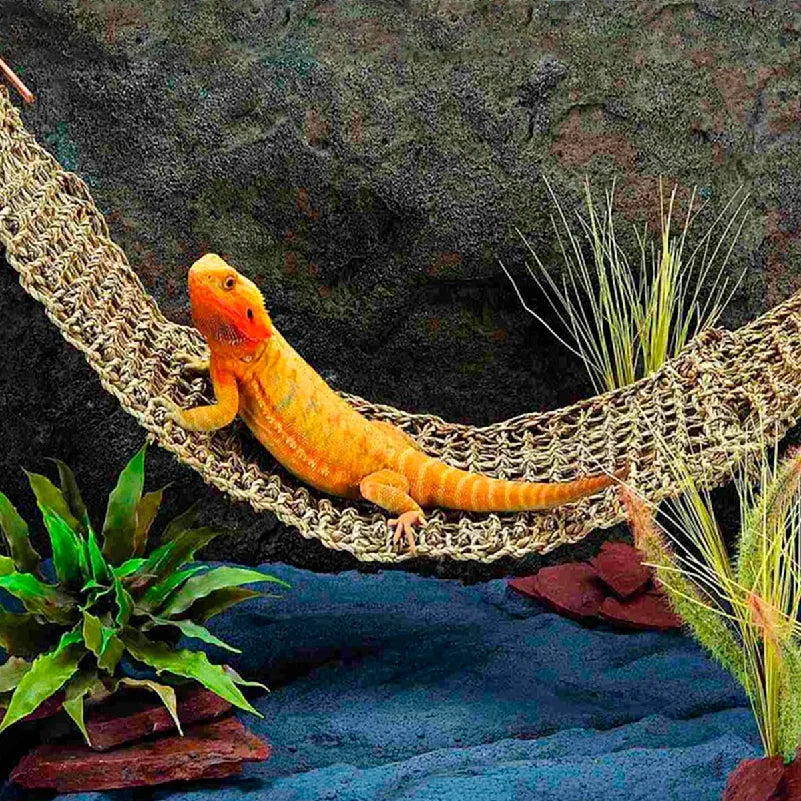 Reptile Hammock Terrarium Decoration
