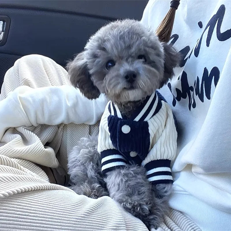Baseball jacket style dog coat.