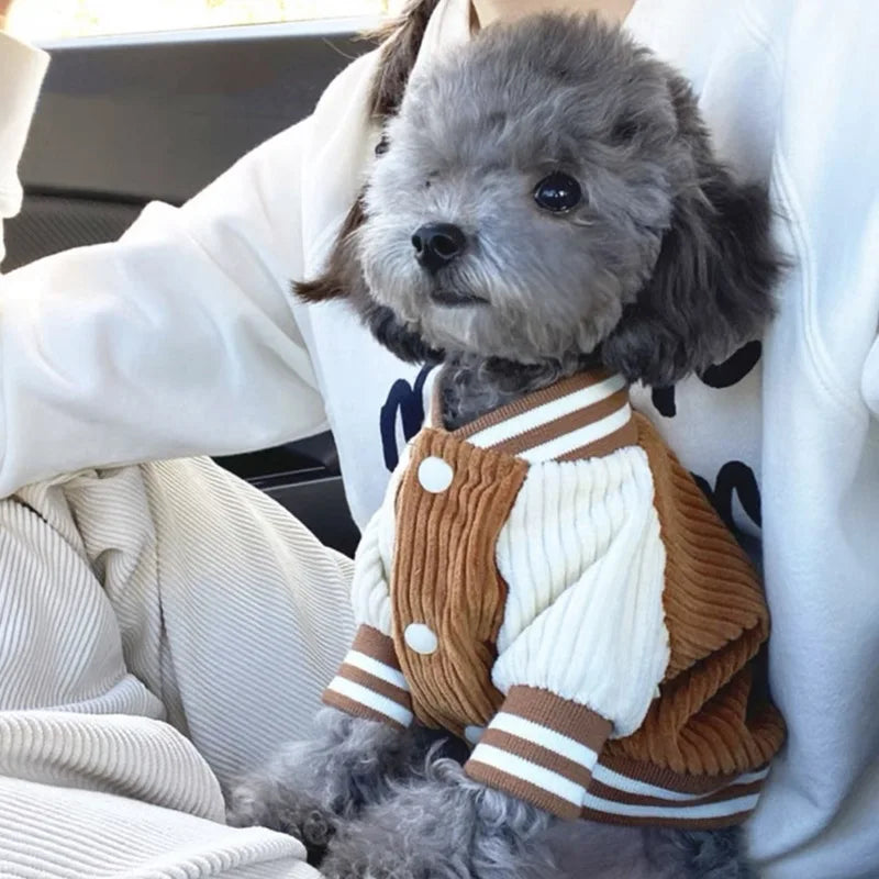 Baseball jacket style dog coat.