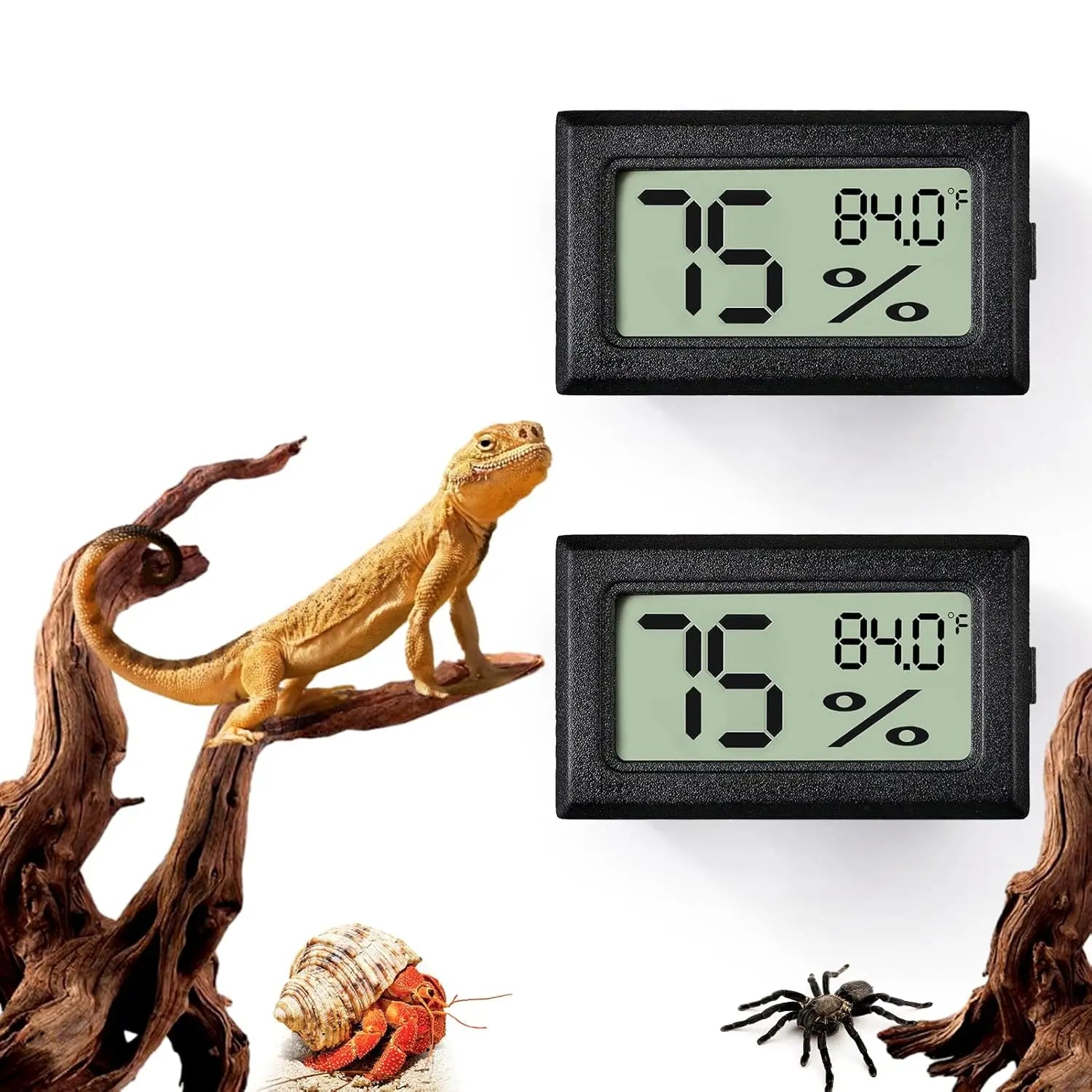 Digital vivarium thermometer.