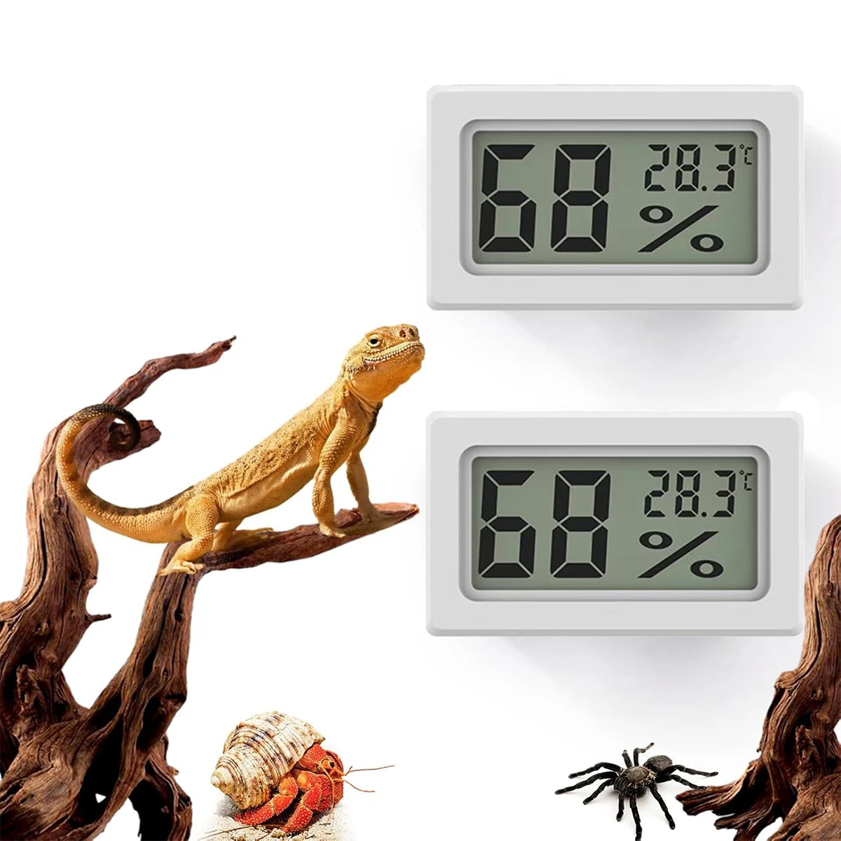 Digital vivarium thermometer.