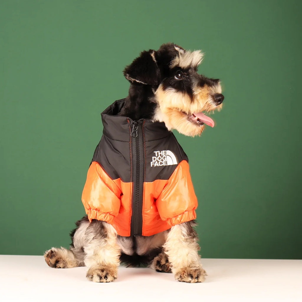 The dog face coat/jacket.
