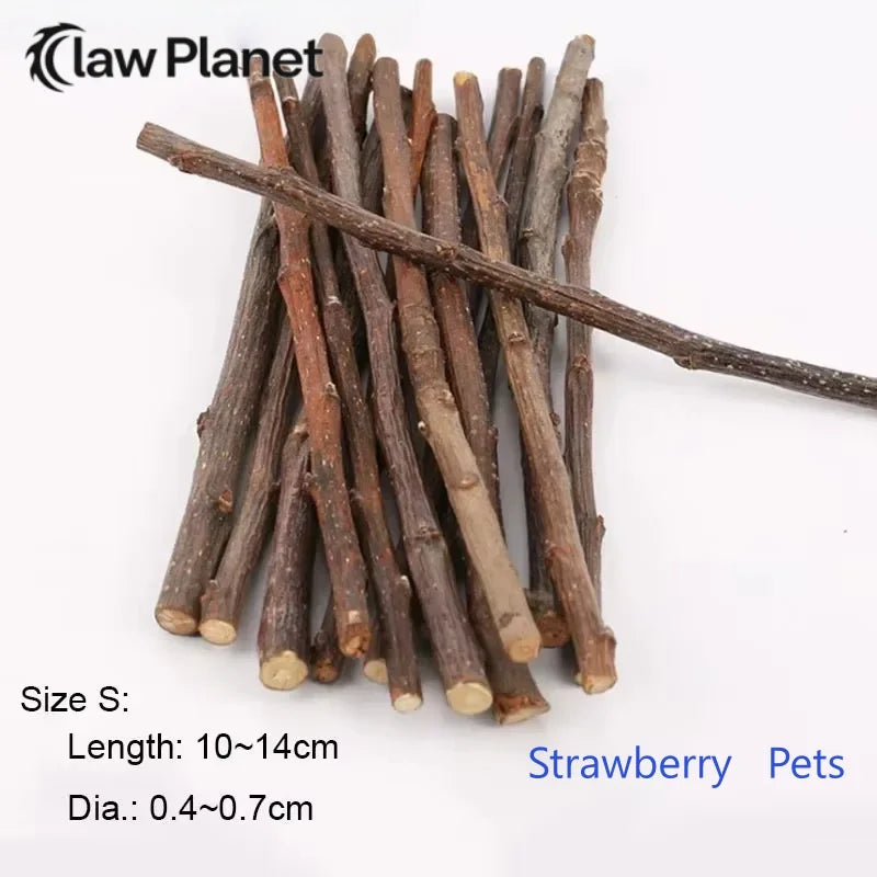 Chew Stick Apple Tree Branch Hamster for small pets.