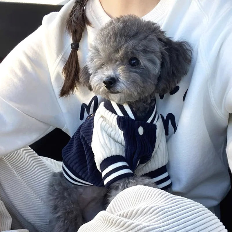 Baseball jacket style dog coat.