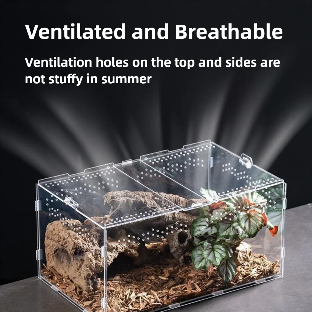 Durable Acrylic Reptile Habitat Clear box.