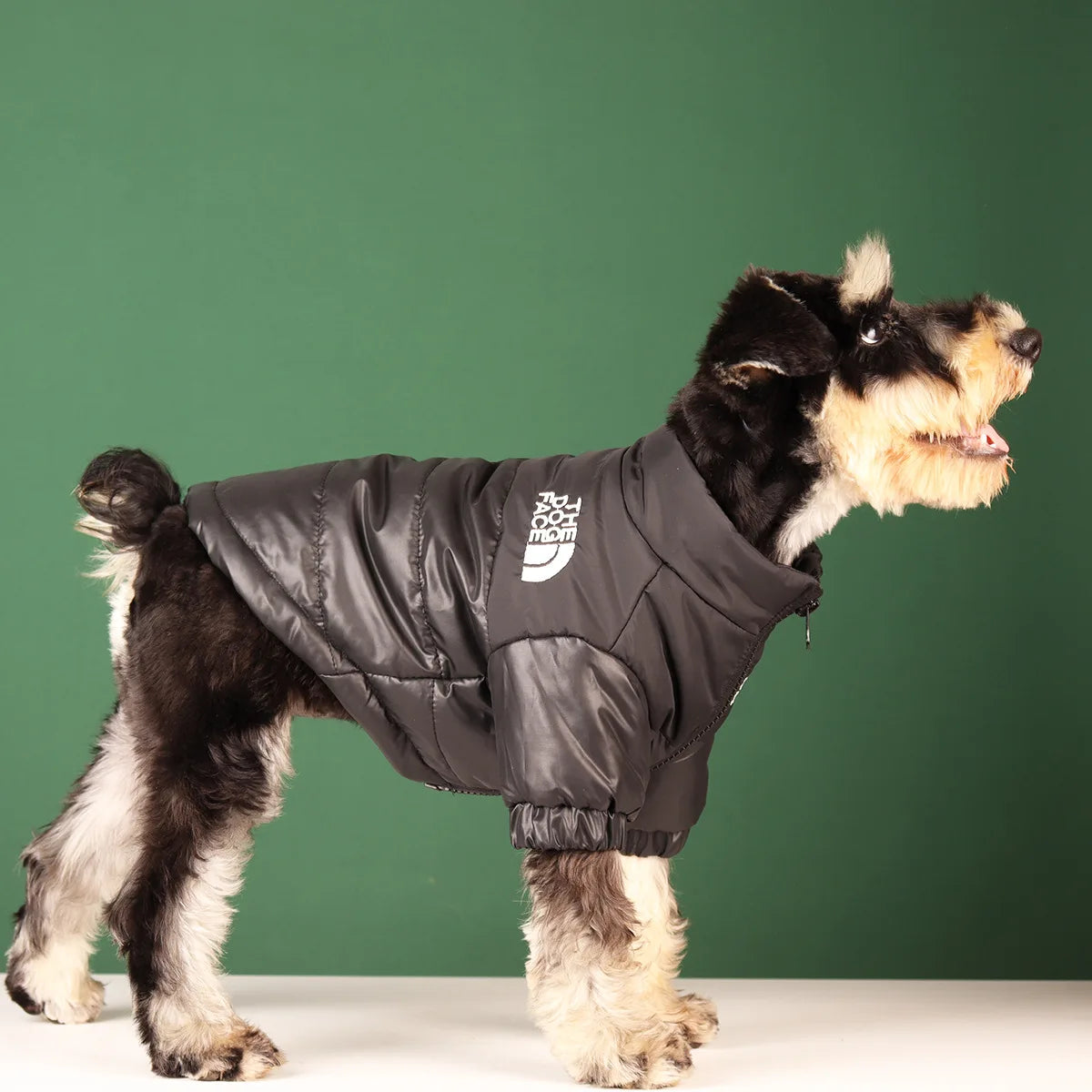 The dog face coat/jacket.