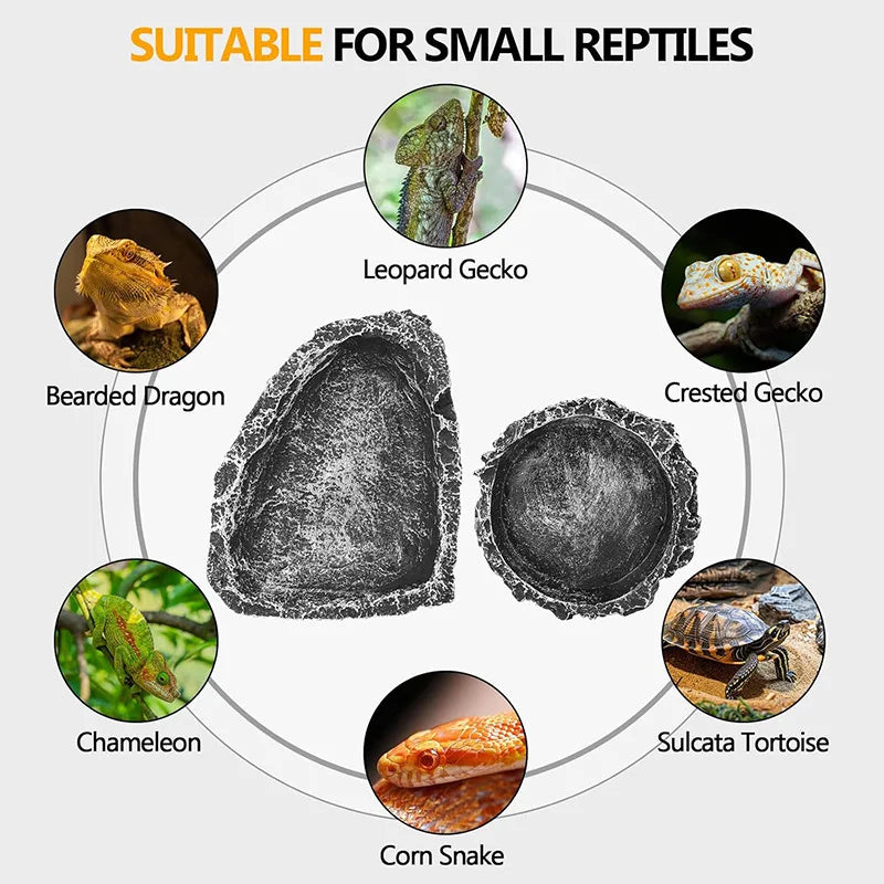 Reptile Feeding & Water bowl