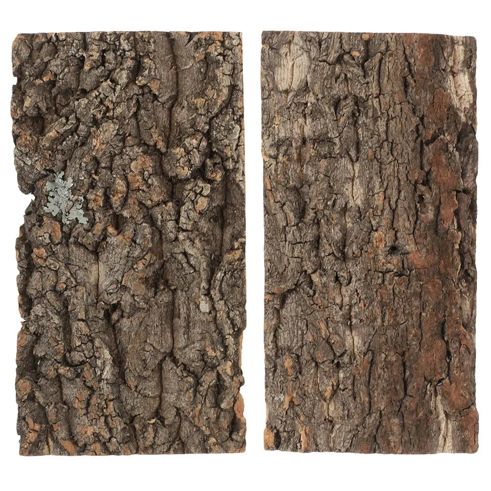 2Pcs Terrarium Cork Bark Decor for reptiles.