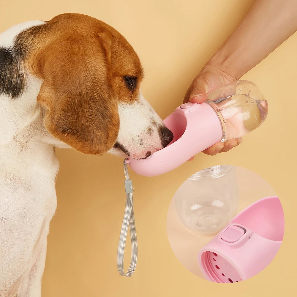 Portable dog water bottle.