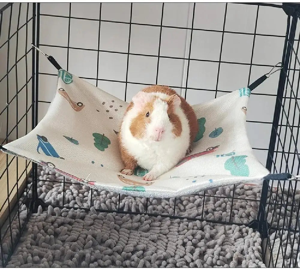 Small rodent hanging hammock.