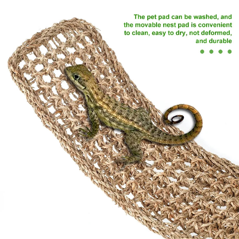 Reptile Hammock Terrarium Decoration