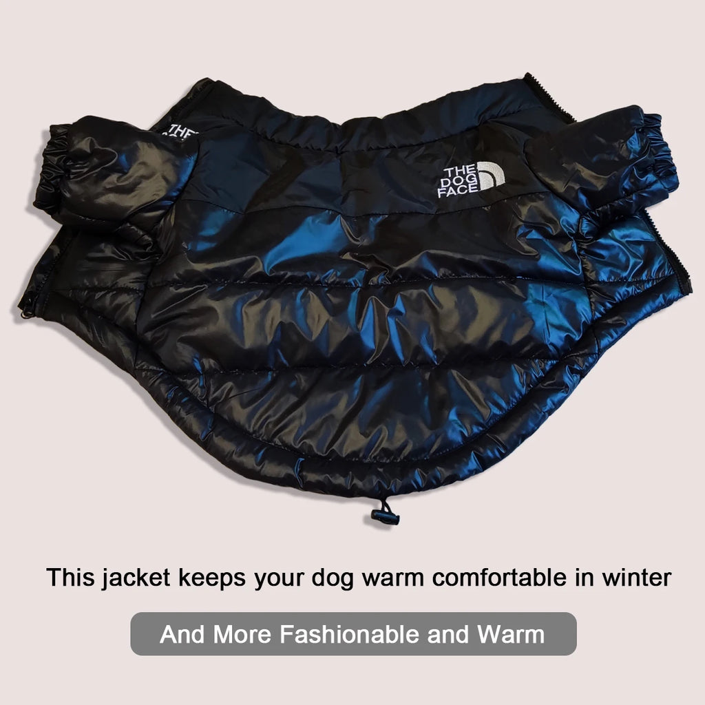 The dog face coat/jacket.