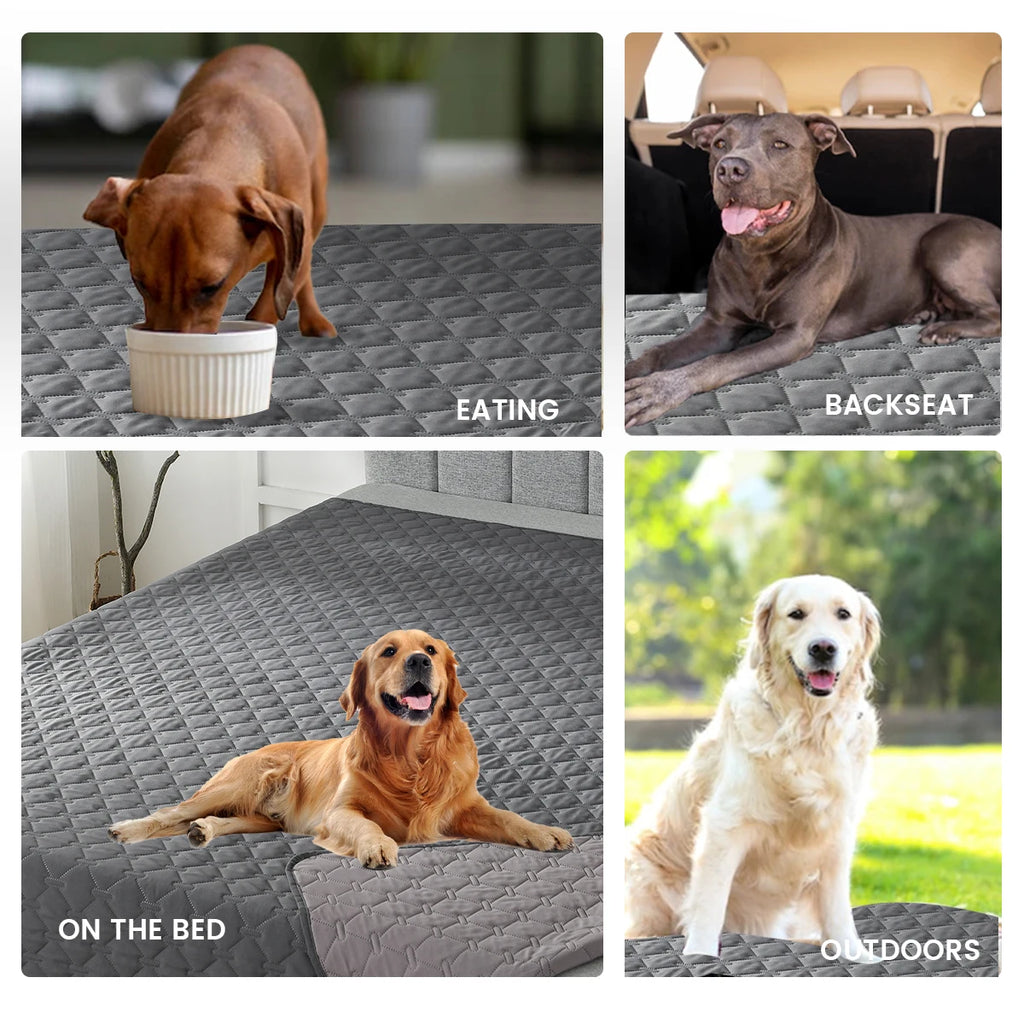 Double-Sided sofa/bed cover.