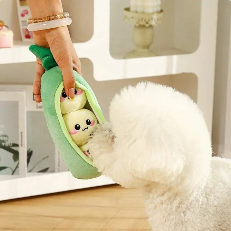 Peapod dog chew toy.