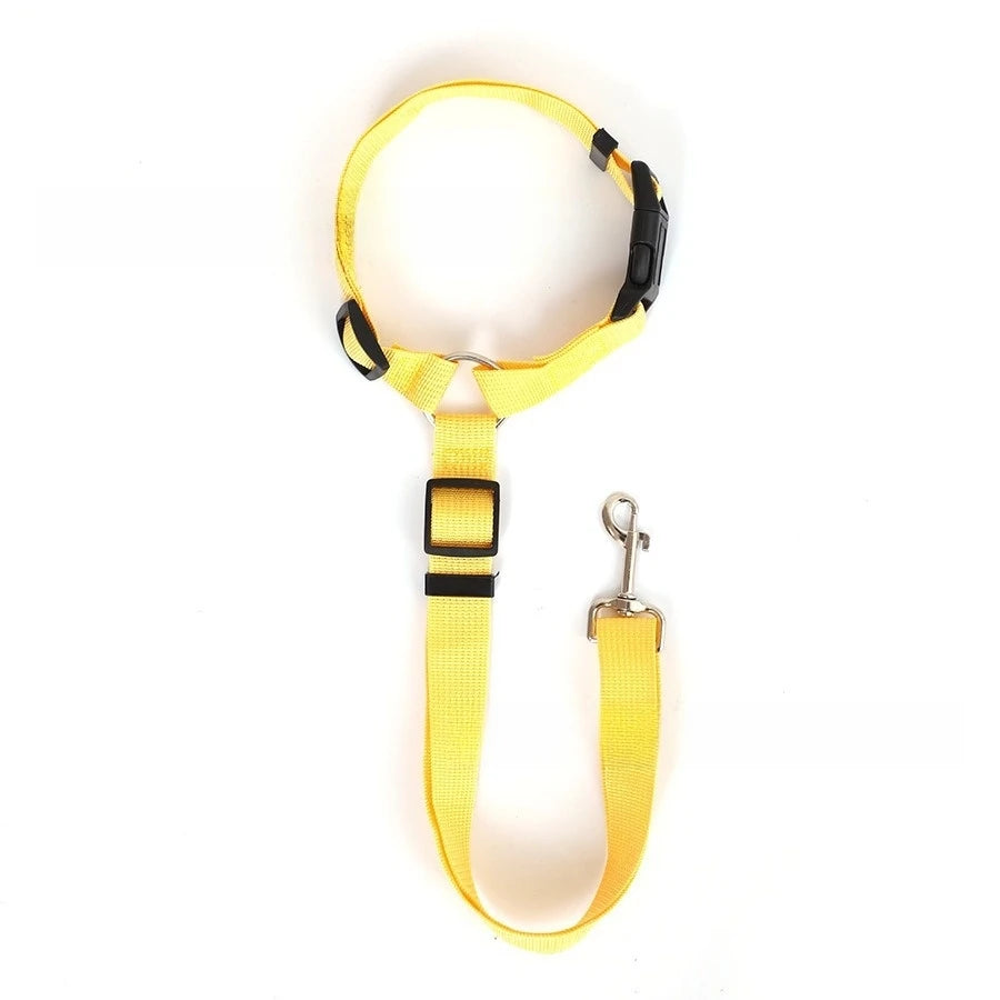 Pet Safety Seatbelt for Dogs – Car Travel Lead